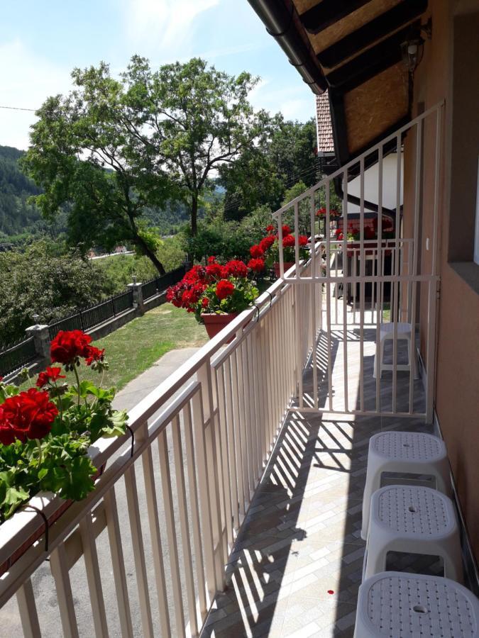 Apartmani Maksimovic Mokra Gora Exterior foto